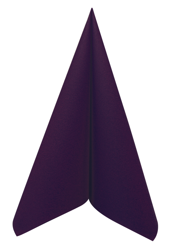 Serviette intissé 40x40cm Prune