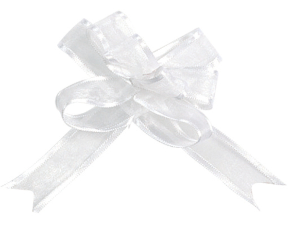 Mini noeud automatique Blanc