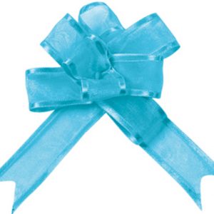 Mini noeud automatique Turquoise