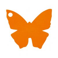 papillon orange