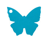 papillon turquoise