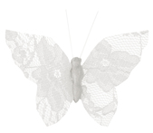 Papillon dentelle blanc