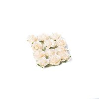 12 ROSES 3.5CM IVOIRE SUR TIGE PAPIER
