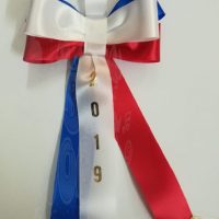 Cocarde Parade