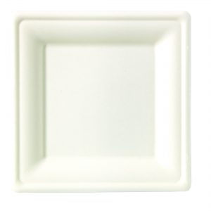 Assiette fibre de canne 20x20cm