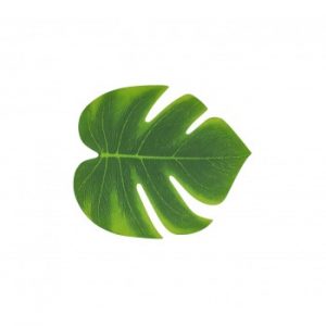 Lot de 4 feuilles tropicales de 21cm x 18cm