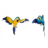 Oiseau, papillon