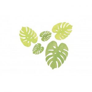 10 feuilles palmier