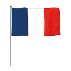 drapeau france bâton