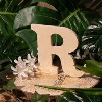 lettre bois 12cm
