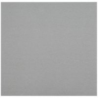 Serviette intissé argent x25