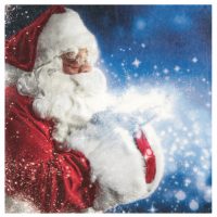 Serviettes Père Noël x20