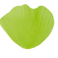 Vert / Sauge / Eucalyptus