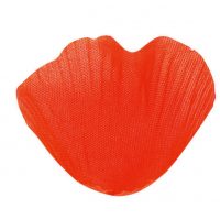 Orange / Corail / Terracotta