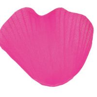 Rose / Fuschia