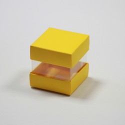 10 Contenant Duo vitamine Jaune