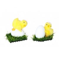 Poussin avec œuf sur herbe