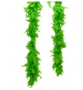 boa vert