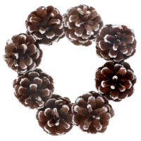 Couronne Pomme de pin naturel