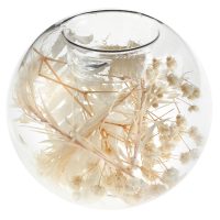 Photophore transparent fleur seché