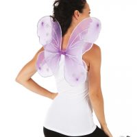 Ailes de papillon parme