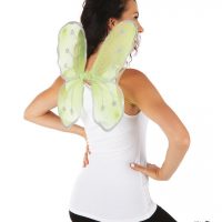 Ailes de papillon verte