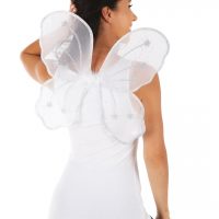 Ailes de papillon blanche