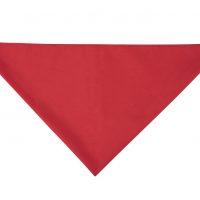 Bandana rouge basque