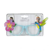 Lunettes hibiscus