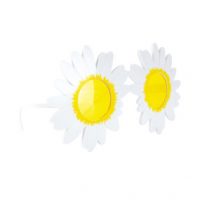 Lunettes marguerites